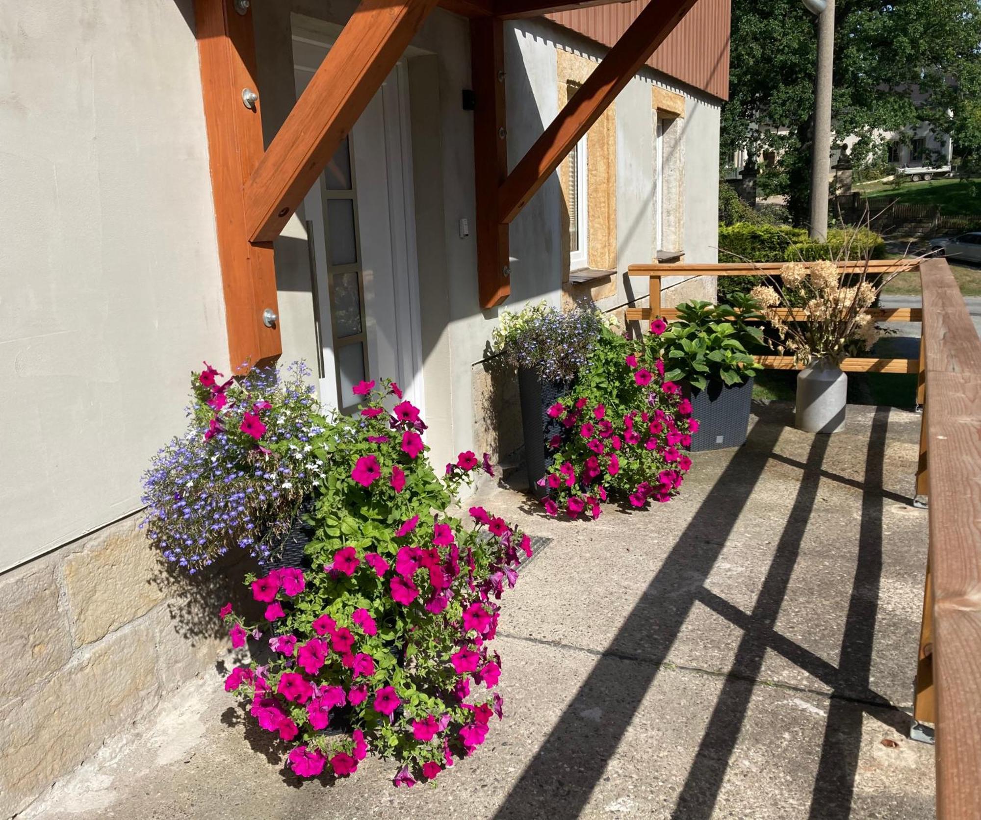 Ferienwohnung "Am Kirchsteig" Kurort Gohrisch Exterior photo